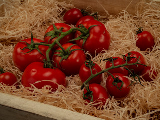 Delicious red tomato