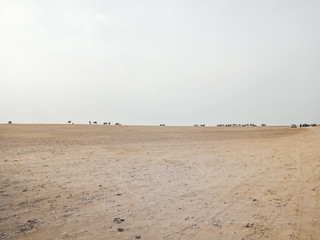 Day in Sahara desert, Egypt
