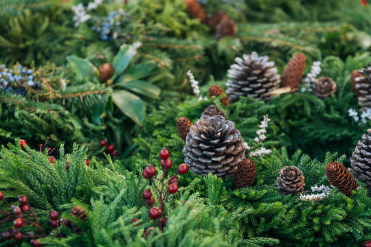 Pine fronds and pine cones
