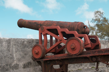Fortress cannon