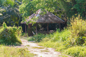 old wooden house in the forest