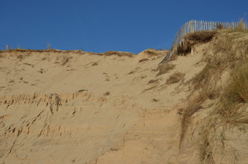 Destroyed Fence by naturals elements 