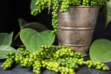 Fresh raw green pepper in a plant pot with black background