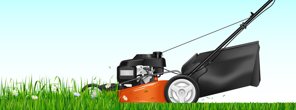 Lawn mower. Mowed grass. Lawn mower cutting green grass. Vector illustration.
