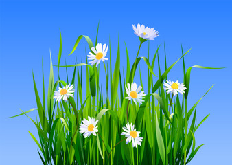 High green fresh grass and meadow flowers. Deep fresh grass background.
