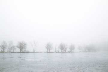Foggy Lake in Winter Morning