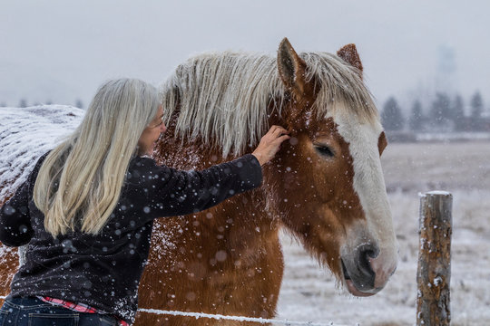 Woman petting horse on farm during winter