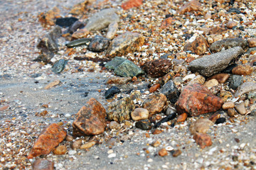 Beach of the Azov Sea