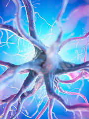 3d rendered illustration of a human nerve cell