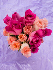 fresh roses 