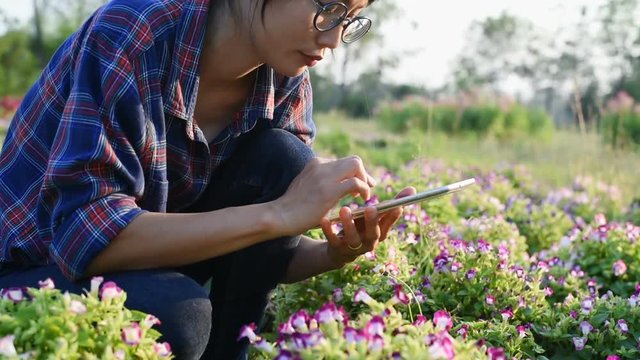 Asian woman farmer in flower field.