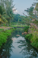 river in deep forest