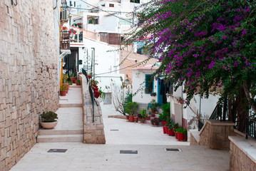 Colorful small street in Europe with green plants  and flowers outdoor. Mediterranean town.