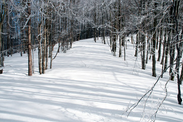 frosty day on the top of the mountain