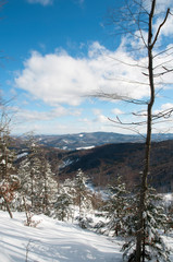 frosty day on the top of the mountain