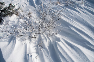 frosty day on the top of the mountain