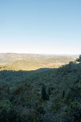 Obraz premium The desert of the palms in benicasim, Costa azahar