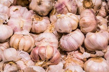 Sale of products in the market. Big young garlic. Spices. Background and texture. Healthy food.