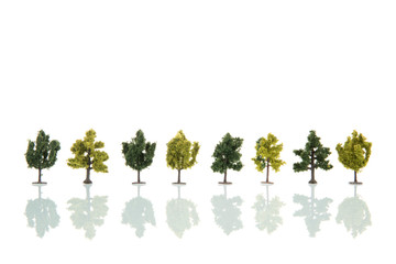 Miniature trees isolated over white background