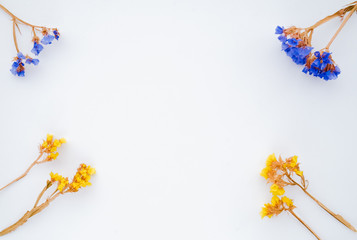 Top View Image of Dried flower on white background. Close up with Space for text.