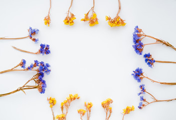 Top View Image of Dried flower on white background. Close up with Space for text.