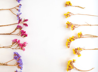 Top View Image of Dried flower on white background. Close up with Space for text.