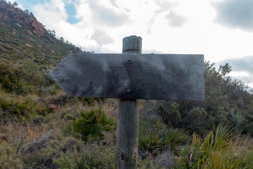 Wooden sign with wooden shape in the forest