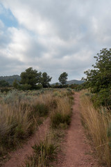 The desert of the palms in benicasim, Costa azahar