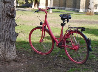 Fototapeta premium Rotes Fahrrad im Freien