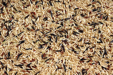 Brown Basmati, Red Camarque and Wild Rice. Close up Background Texture.