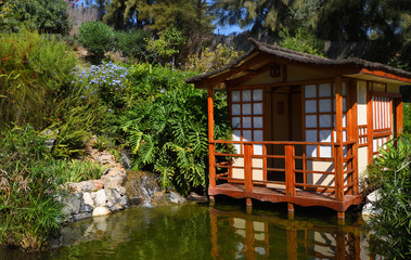Japanese Garden with Pagoda and Pond 