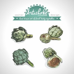 Artichoke Collection of fresh begetables with leaf. Vector illustration. Isolated	