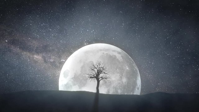 Time lapse of a sprouting tree against the background of a full moon and a rotating universe around