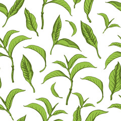 Vector beautiful illustration with pattern of green tea leaves. Seamless background.
