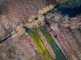 Aerial view of swamps