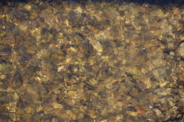 Blick in den seichten Fluss mit Steinen und Schatten