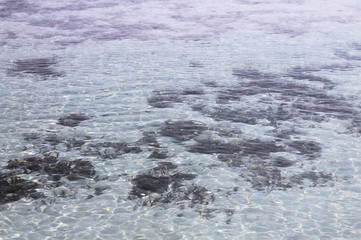 Indian ocean in Maldives - coral reef (Ari Atoll, Maldives)