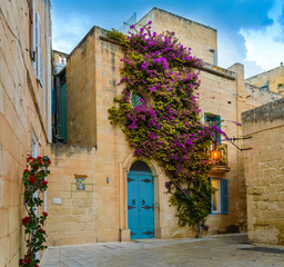 Fototapeta na wymiar Mdina, Malta: traditional Maltese limestone house with bright purple flowers
