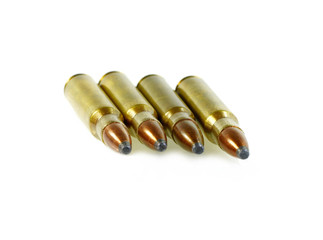 hunting ammunition