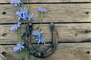 A bouquet of wild flowers and an old horseshoe on a wooden background/card "good luck"