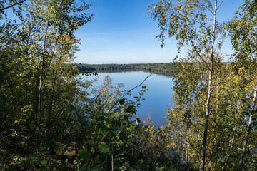  Nature and landscape concept: View of the lake from the hill, among the birch forest on the background of blue sky.Lake Mare à Goriaux,Nord-Pas-de-Calais,France. 
