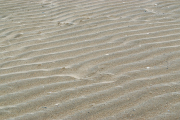 A sandy pattern made by a sea wind on the beach.