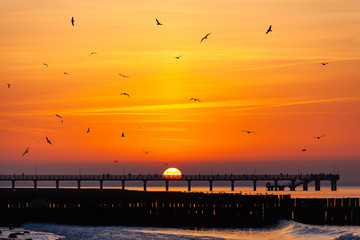 Obraz premium silhouettes of birds in the sky and people watching a bright orange sunset on the sea standing on the pier