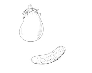 Vegetable Vector Illustration