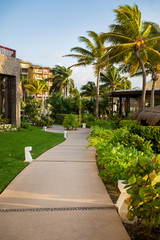 A walking path with garden and palm trees at a high end Mexican resort near Cancun.