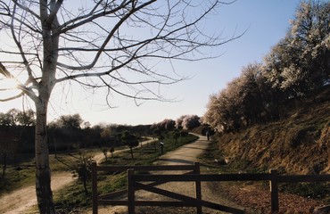 Sendero