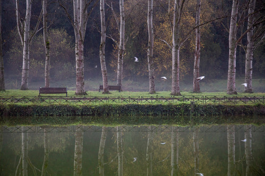 Villa Ada Roma