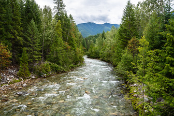 Fototapeta na wymiar Fast-flowing Mountain River Through a Thick Forest on a Cloudy Summer Day. British Columbia, Canada.