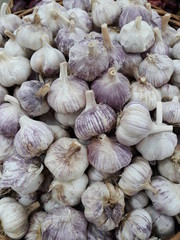 Argentine garlic in a basket