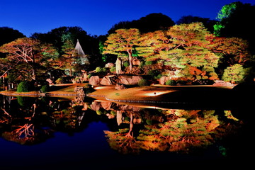六義園のライトアップ